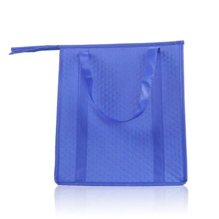 Small Insulated Cooler